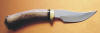 Skinner