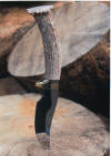 Antler Handled Skinner