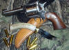 Antler Handled Skinner